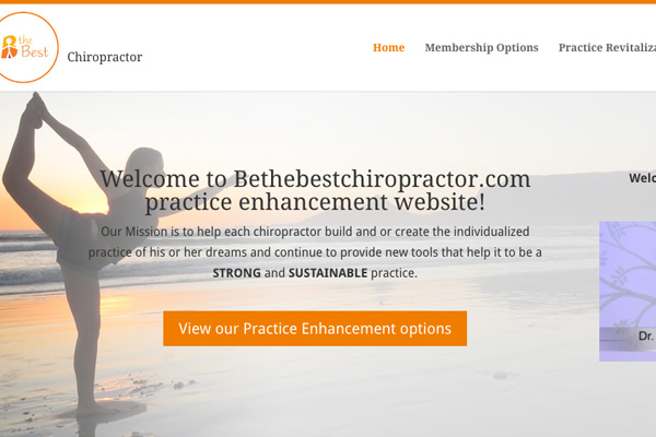 Visit the Be The Best Chiropractor Website