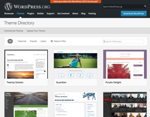 WordPress.org Theme Repository