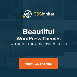 Premium WordPress Themes Without The Confusing Parts