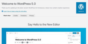 WordPress 5.0